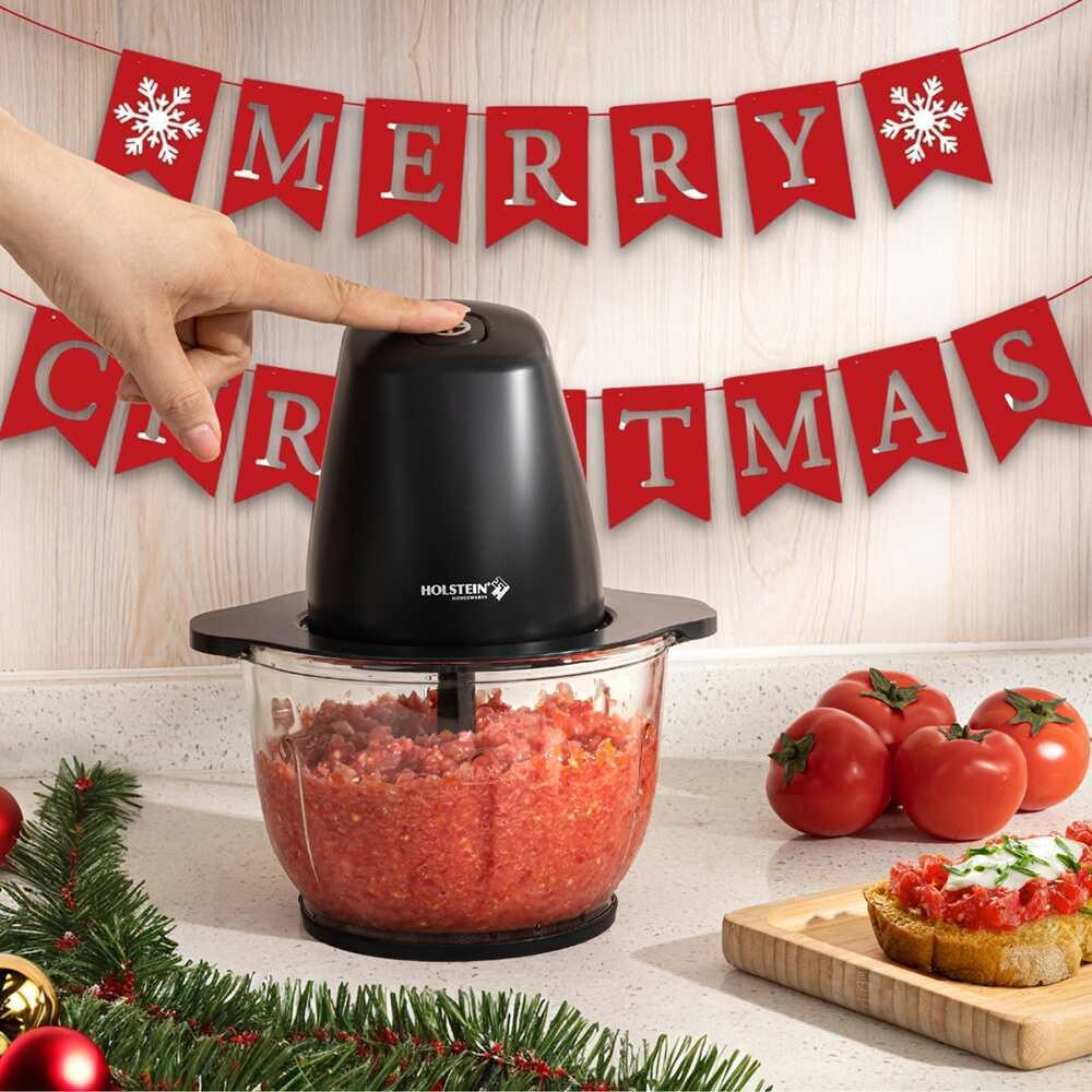 Holstein HH-09101103B 1.9 QT Electric Food Chopper