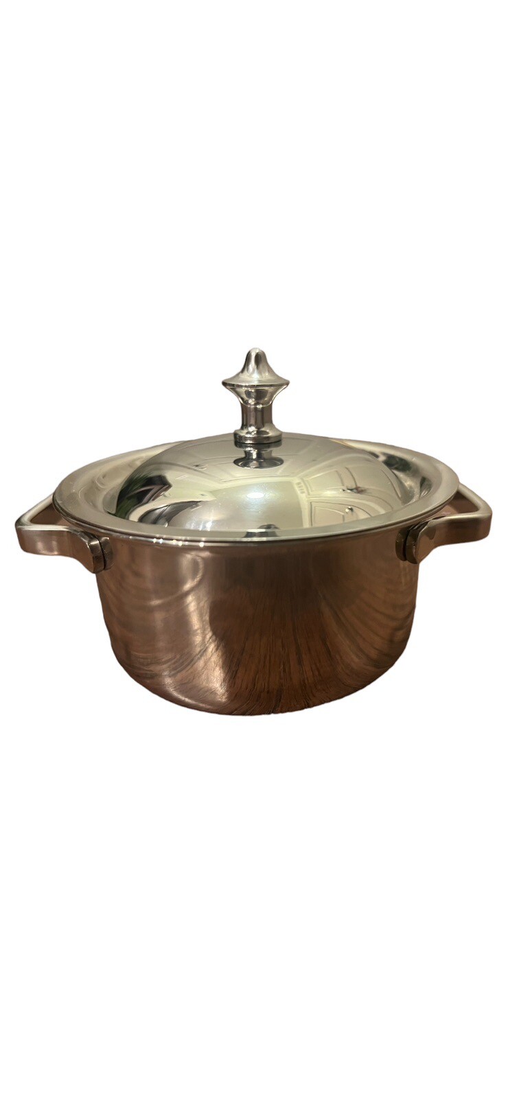 Cuisinart Stainless Steel Mini Dutch Oven Server .32 QT/.30L V#16388 7MS2-32