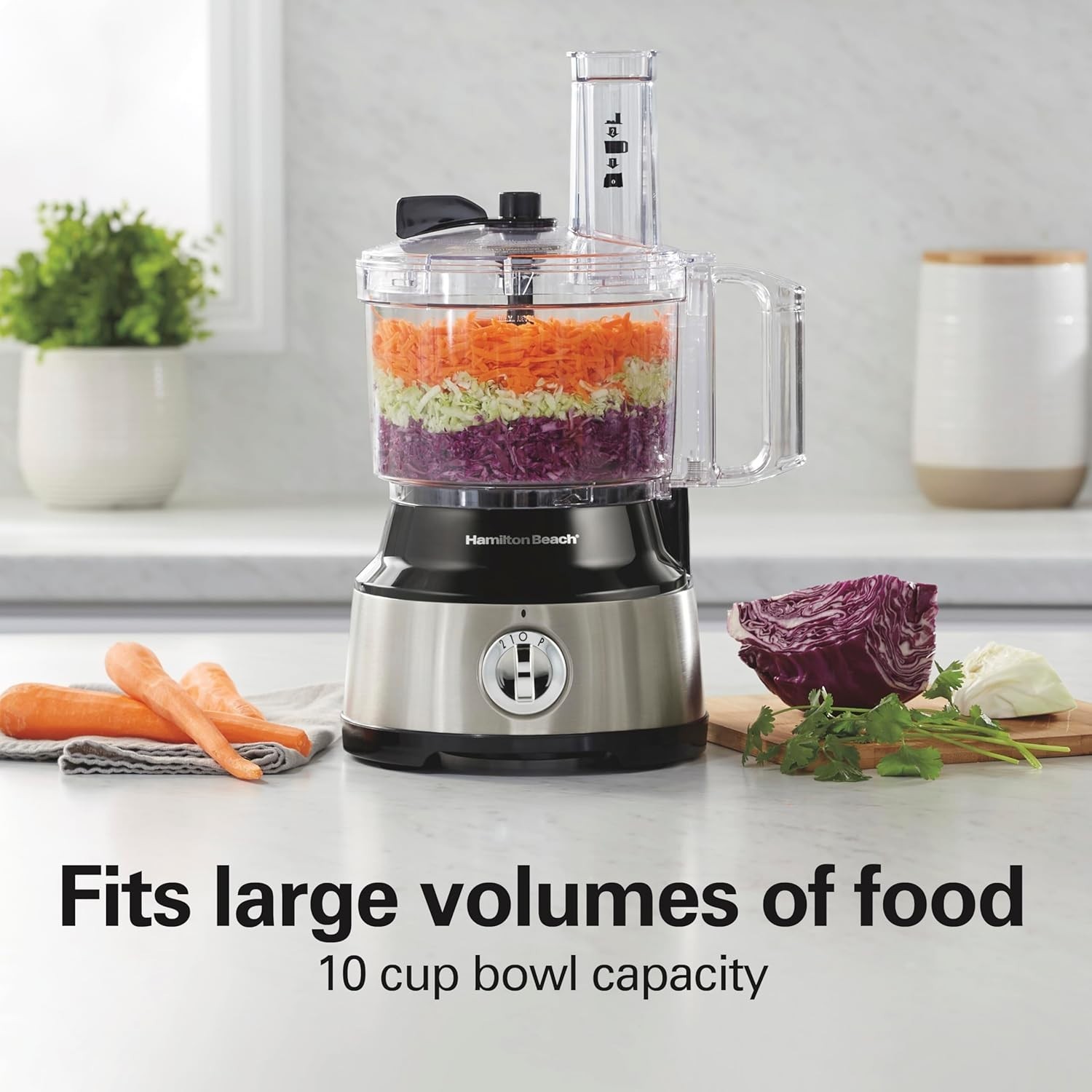 Food Processor & Vegetable Chopper for Slicing, Black and Stainless Steel(70730)