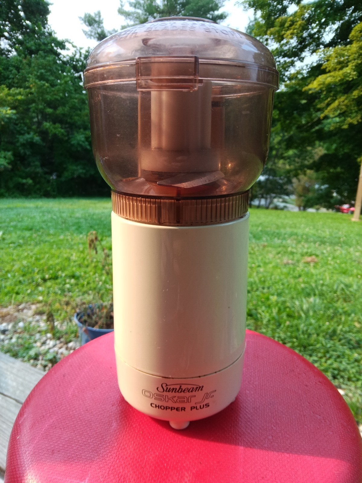 Vintage Sunbeam Oskar Jr. Chopper Plus Mini Food Processor Chopper 14131 Tested!