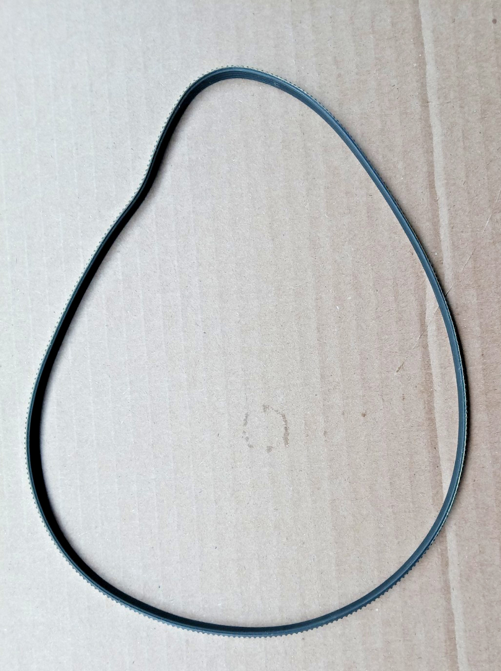 SEARS FOOD PROCESSOR – 400.693100- DRIVE BELT