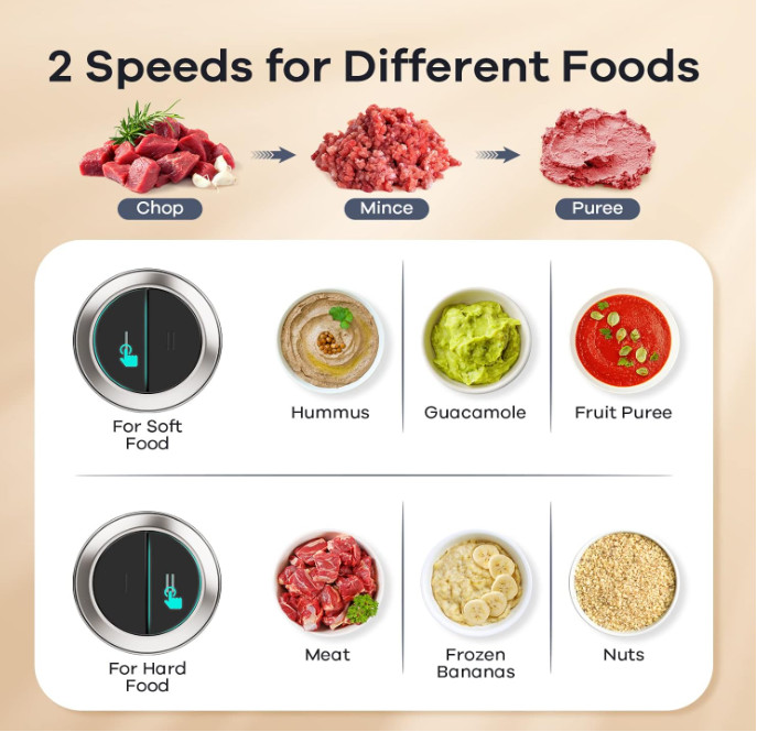 GANIZA Food Processor–450W Chopper with 2 Bowls & Bi-Level Blades for All Foods