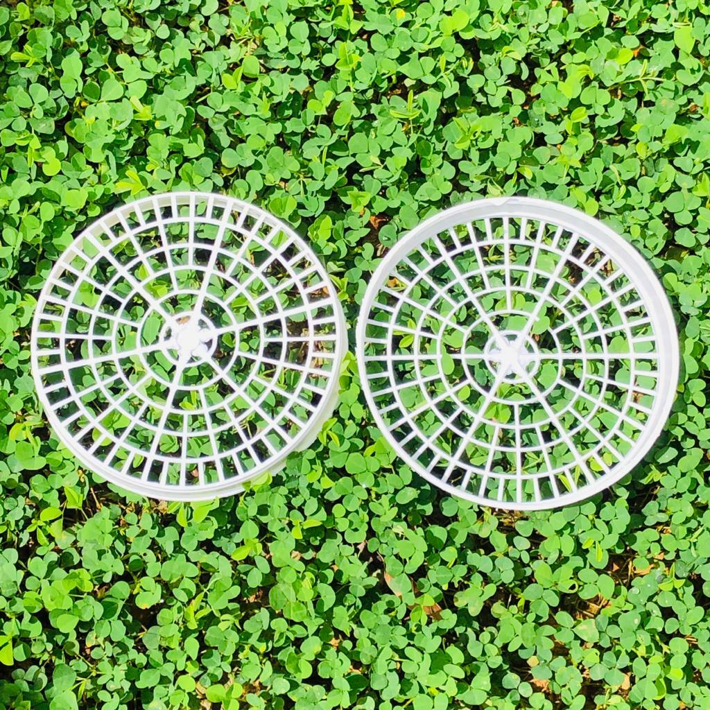 Plastic String Hopper Tray 12 Sets Idiyappam Mat Molds Sri Lanka Sweet Dumping